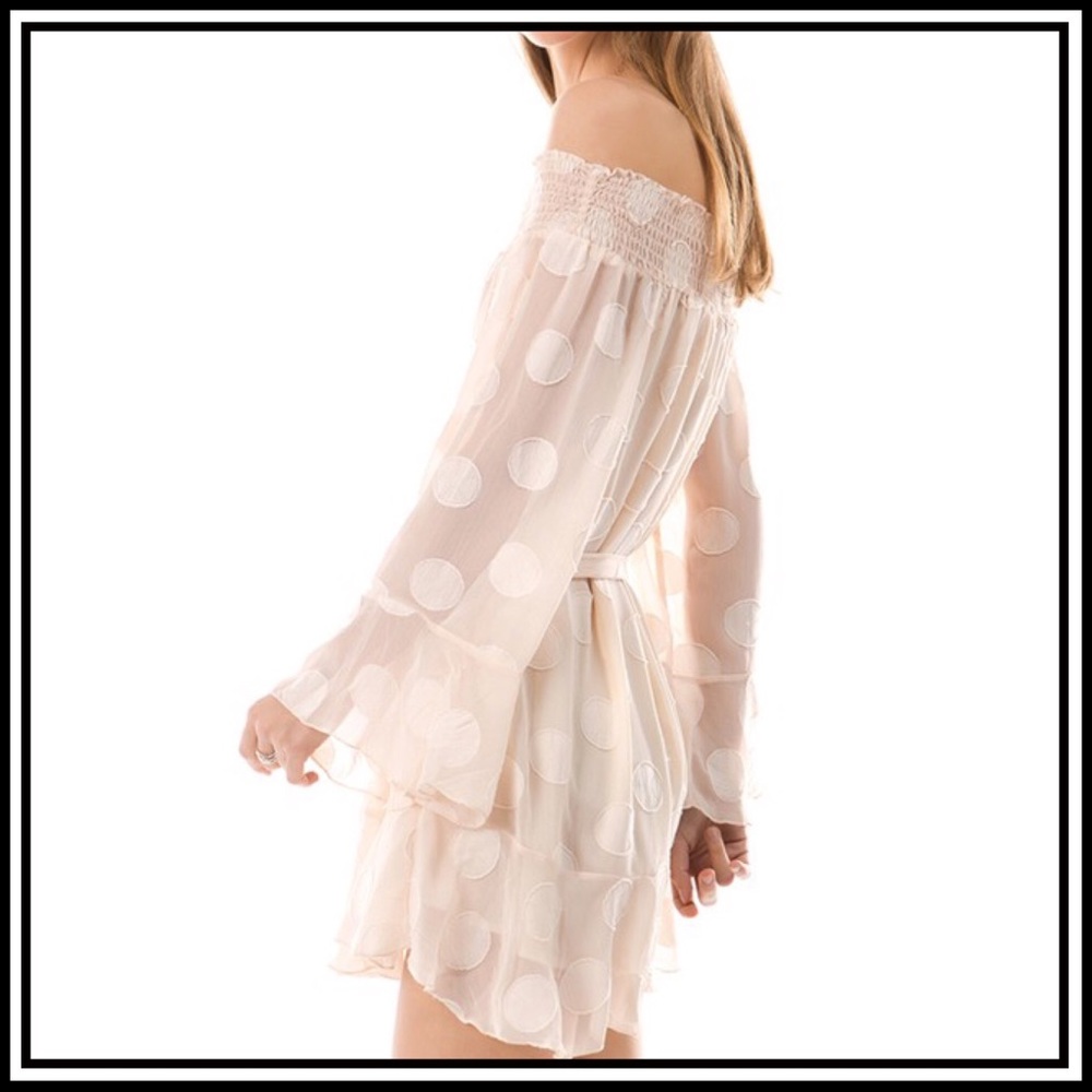Sheer Dots Strapless Dress - Picture 4 of 4